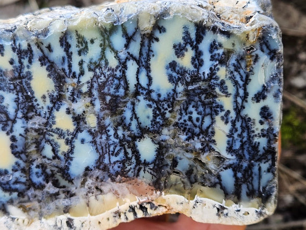 Polished Dendritic Opal DO225