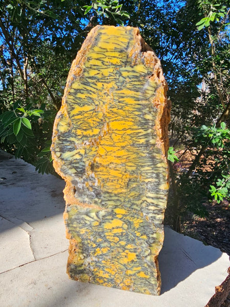 Polished Dendritic Opal DO226