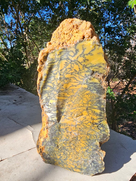 Polished Dendritic Opal DO226