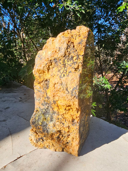 Polished Dendritic Opal DO226