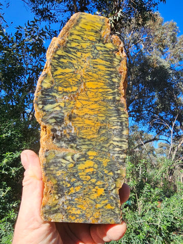 Polished Dendritic Opal DO226