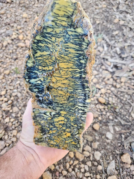 Polished Dendritic Opal DO226
