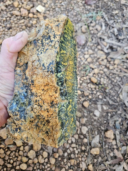 Polished Dendritic Opal DO226