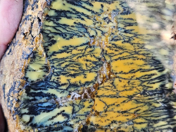 Polished Dendritic Opal DO226