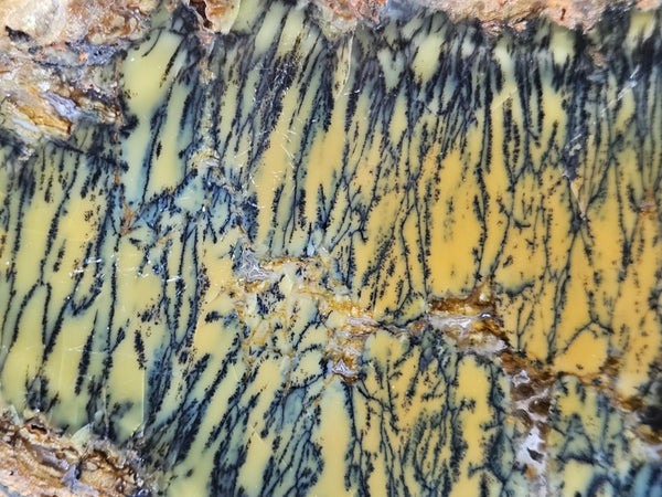Polished Dendritic Opal DO226