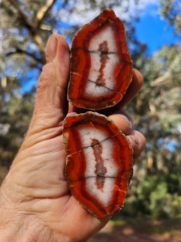 Polished Pilbara Agate PA281