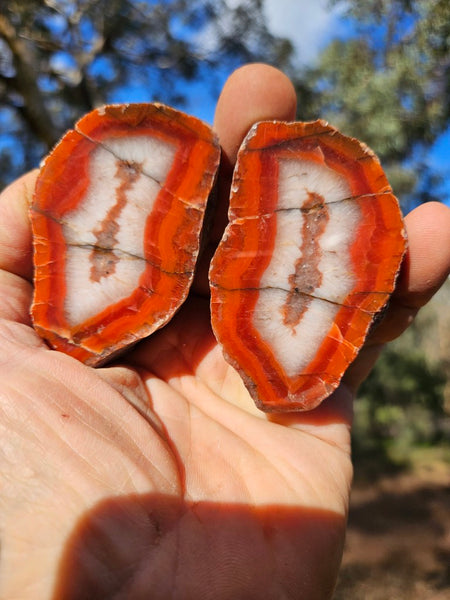 Polished Pilbara Agate PA281