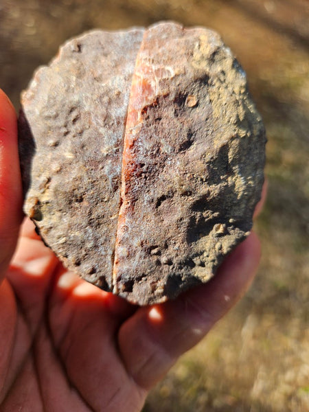 Polished Pilbara Agate PA281