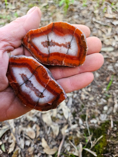 Polished Pilbara Agate PA281