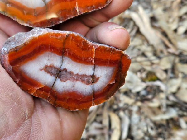 Polished Pilbara Agate PA281