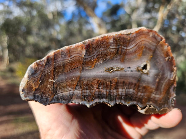 Polished Pilbara Agate PA283