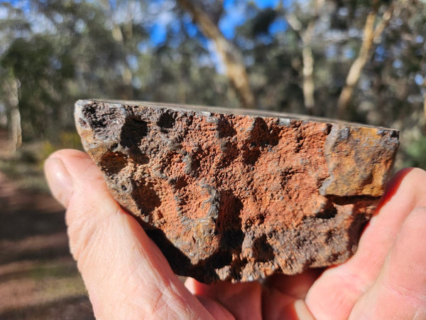 Polished Pilbara Agate PA283