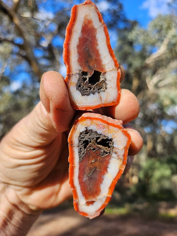 Polished Pilbara Agate PA280