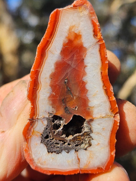 Polished Pilbara Agate PA280