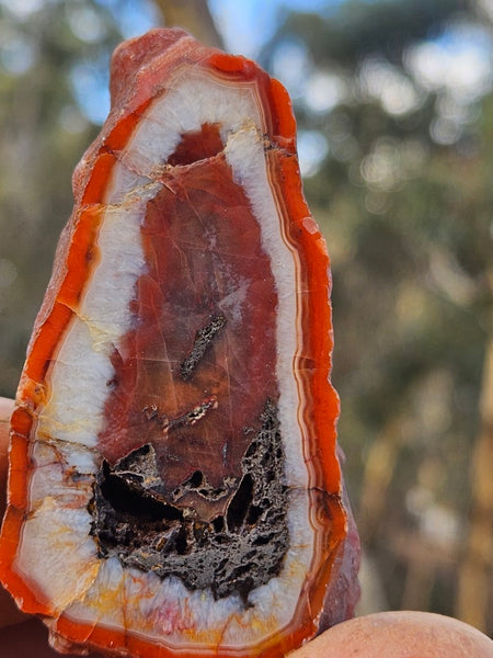 Polished Pilbara Agate PA280