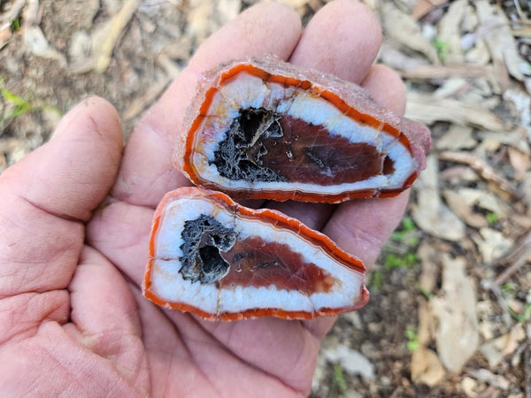 Polished Pilbara Agate PA280