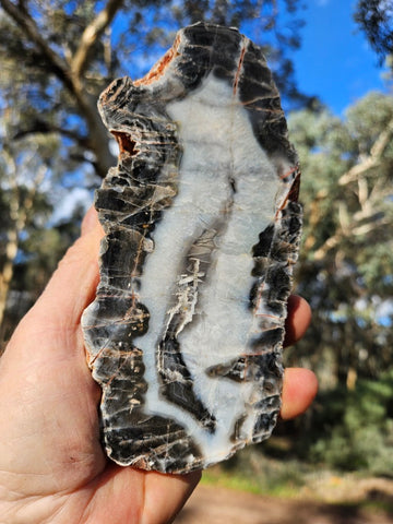 Polished Pilbara Agate PA234