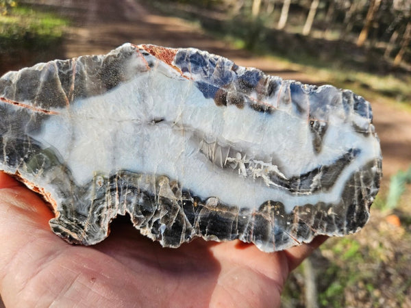Polished Pilbara Agate PA234