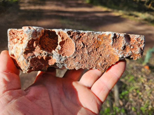 Polished Pilbara Agate PA234