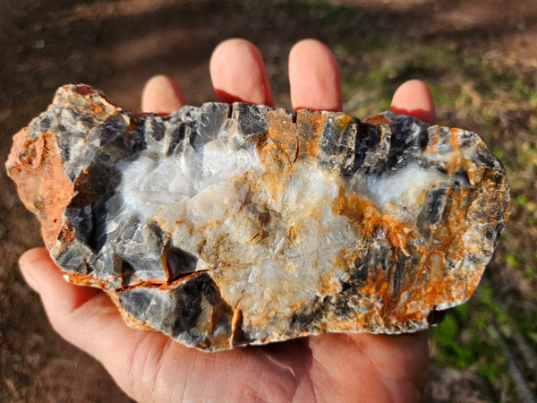 Polished Pilbara Agate PA234