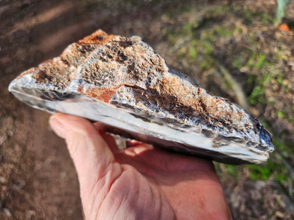 Polished Pilbara Agate PA234