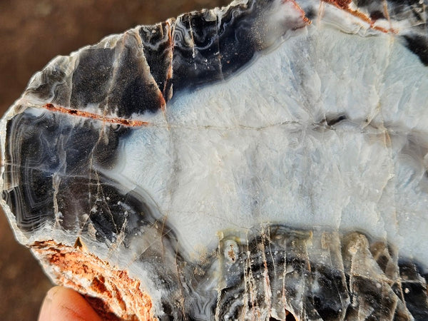 Polished Pilbara Agate PA234