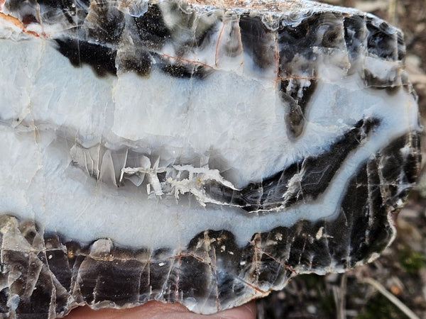 Polished Pilbara Agate PA234