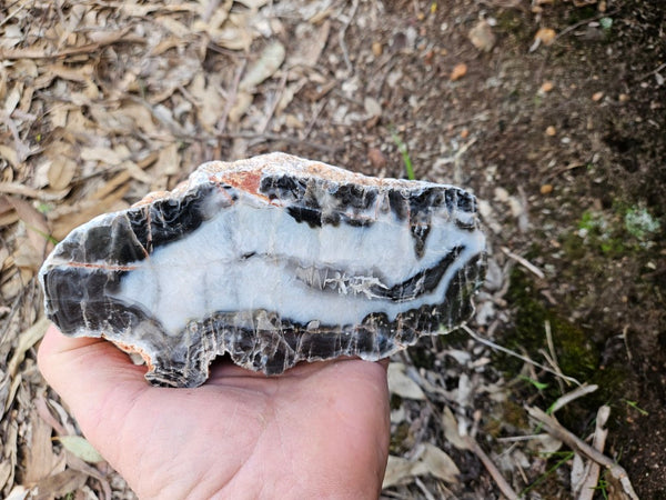 Polished Pilbara Agate PA234