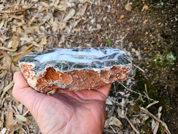 Polished Pilbara Agate PA234