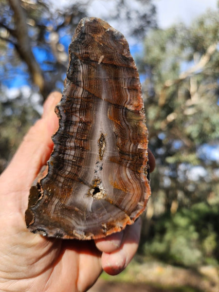 Polished Pilbara Agate PA283