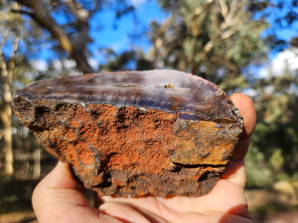 Polished Pilbara Agate PA283
