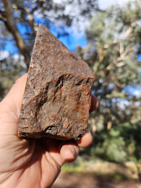 Polished Pilbara Agate PA283