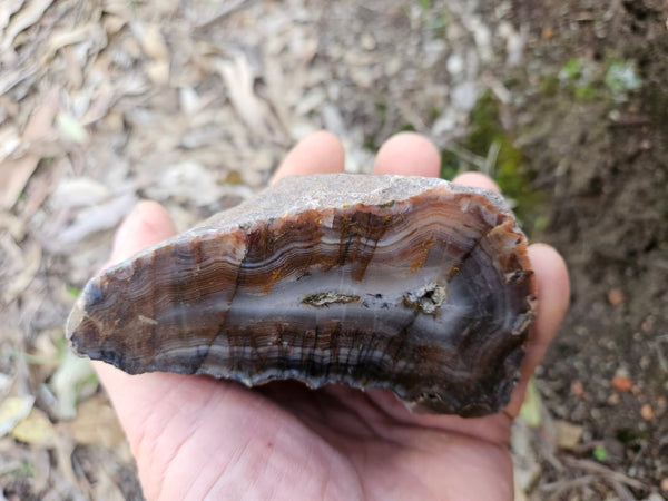 Polished Pilbara Agate PA283