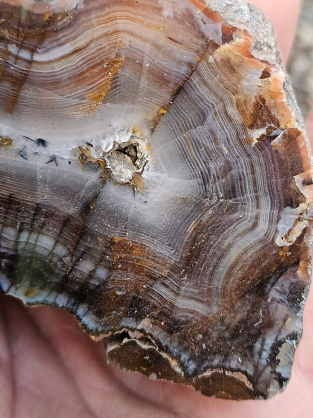 Polished Pilbara Agate PA283
