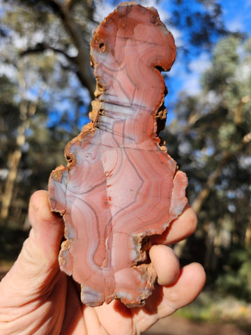 Polished Pilbara Agate slab PA282