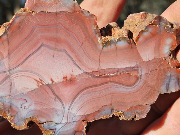 Polished Pilbara Agate slab PA282