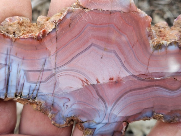 Polished Pilbara Agate slab PA282