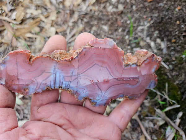 Polished Pilbara Agate slab PA282