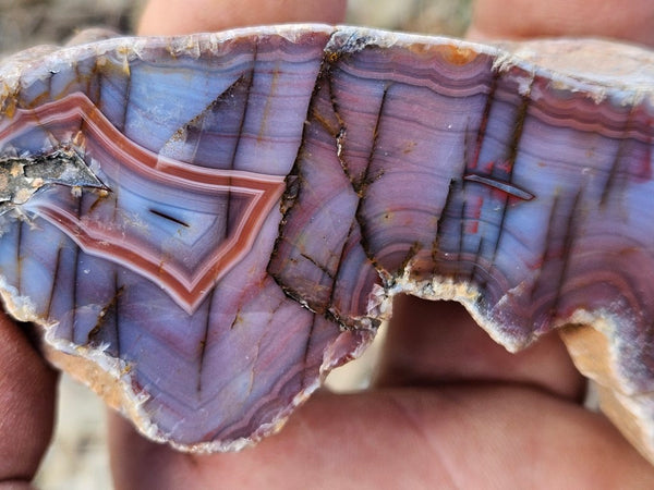 Polished Pilbara Agate PA228