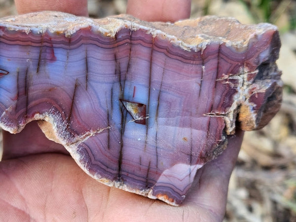 Polished Pilbara Agate PA228