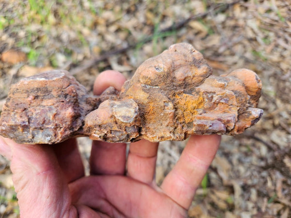 Polished Pilbara Agate PA228