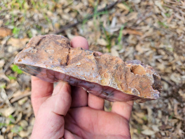 Polished Pilbara Agate PA228