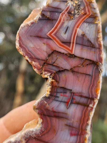 Polished Pilbara Agate PA228