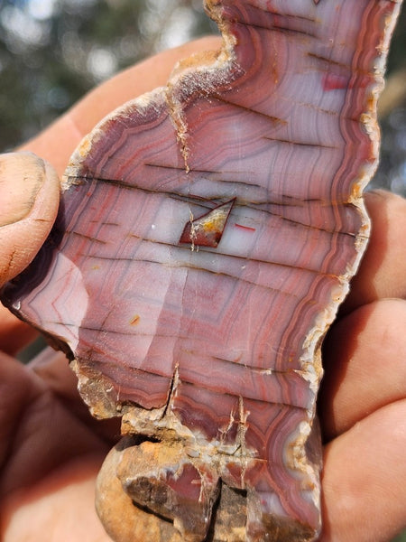 Polished Pilbara Agate PA228