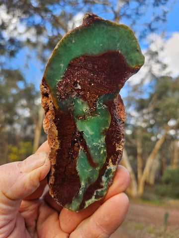 Polished  Chrysoprase  CH484