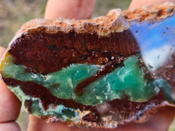 Polished  Chrysoprase  CH484