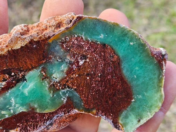Polished  Chrysoprase  CH484