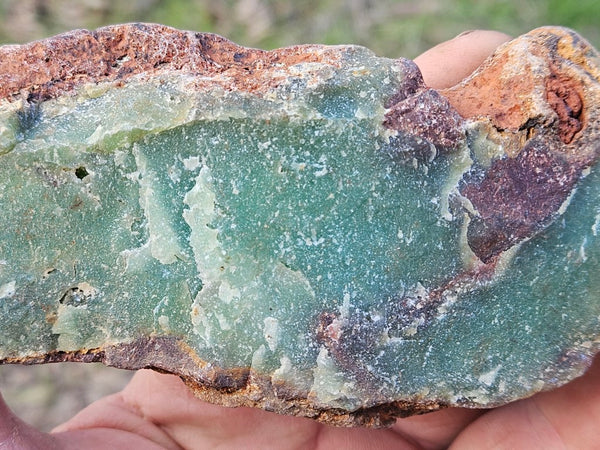 Polished  Chrysoprase  CH484