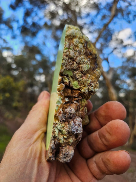 Polished Lime Magnesite specimen. MAP218