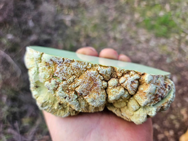 Polished Lime Magnesite specimen. MAP218